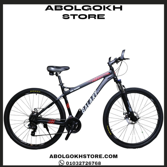 GALAXY M60 PROMAX (MOUNTAIN BIKE) 29